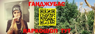 спиды Заволжье