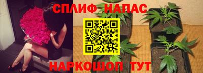 спиды Заволжье