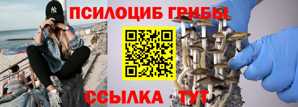 Галлюциногенные грибы мухоморы  Псилоцибиновые грибы Psilocybine cubensis  Вход с VPN  Лангепас 